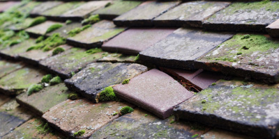 Dosthill roof repair costs